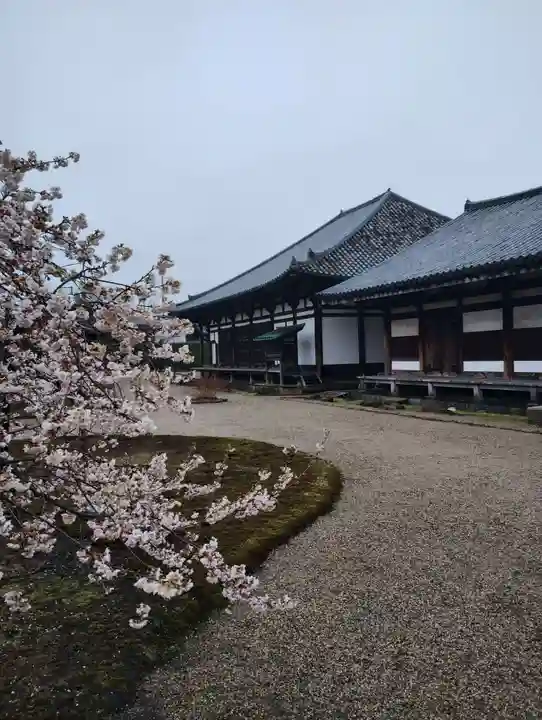 元興寺(奈良県)