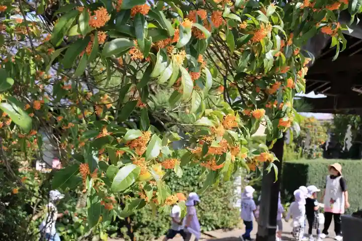 豊景神社の景色