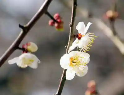 三津厳島神社(愛媛県)