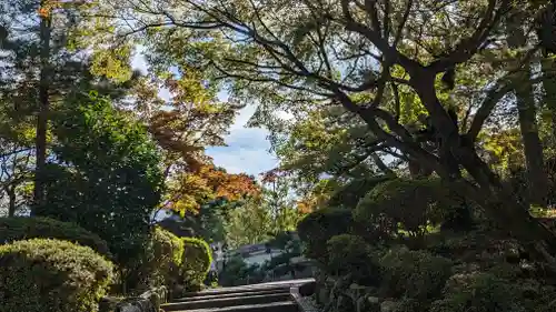 正法寺(京都府)