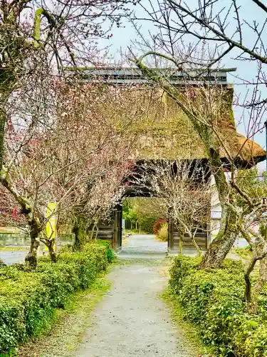 永福寺　童子堂の{uncategorized: "未分類", other: "その他", undefined: "問題あり", building: "その他建物", grave: "お墓", sacred_gate: "鳥居", guardian: "狛犬", statue: "像", buddha: "仏像", history: "歴史", nature: "自然", garden: "庭園", animal: "動物", pagoda: "塔", temizu: "手水舎", mountain_gate: "山門・神門", sanctuary: "本殿・本堂", subordinate: "末社・摂社", art: "芸術", scenery: "景色", jizo: "地蔵", ema: "絵馬", goshuin: "御朱印", omikuji: "おみくじ", items: "授与品その他", amulet: "お守り", goshuincho: "御朱印帳", eats: "食事", festival: "お祭り", votive_dance: "神楽", shichigosan: "七五三参", wedding: "結婚式", experience: "体験その他", initially: "初詣", around: "周辺", anti_infection: "感染症対策"}