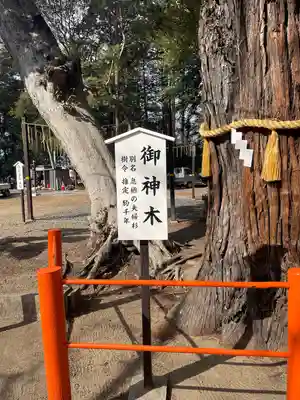 息栖神社(茨城県)