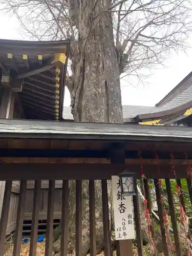 麻賀多神社(千葉県)