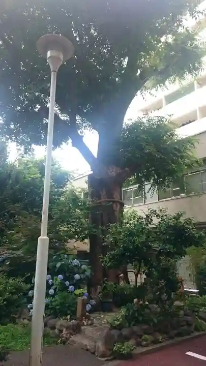 名古屋東照宮の自然