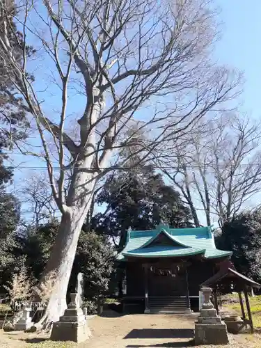 酒門神社(茨城県)