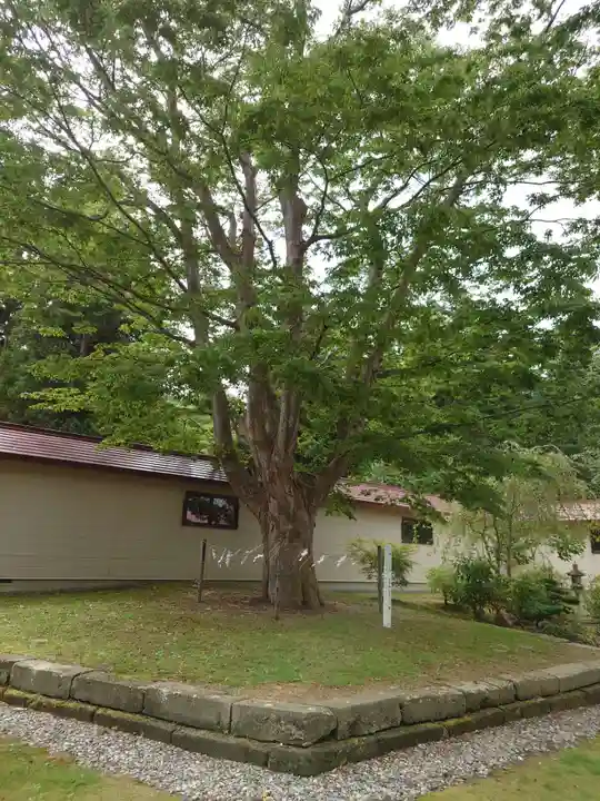 仁木神社の自然