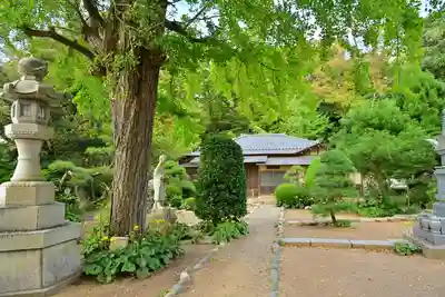 照明寺(新潟県)