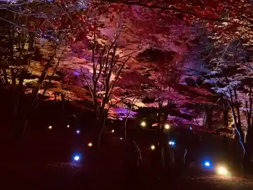 土津神社｜こどもと出世の神さまの景色