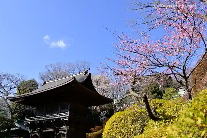 等覚院の山門・神門