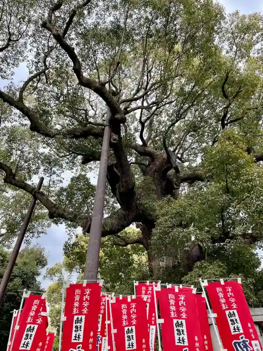 楠珺社(住吉大社末社)(大阪府)