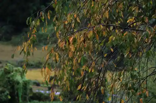 大六天麻王神社の庭園