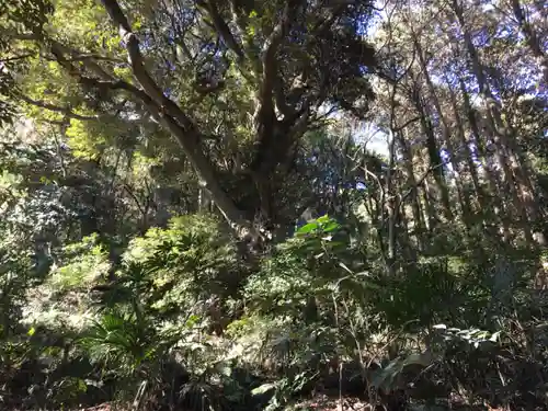 佐志能神社の自然