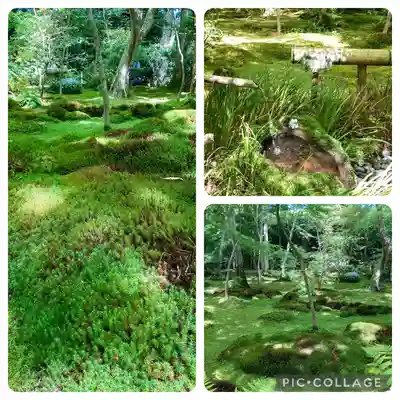 祇王寺(京都府)