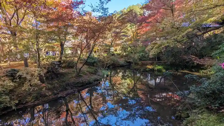圓光寺(京都府)