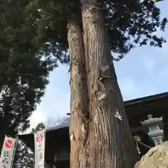 高司神社〜むすびの神の鎮まる社〜の自然