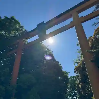 川越氷川神社の{uncategorized: "未分類", other: "その他", undefined: "問題あり", building: "その他建物", grave: "お墓", sacred_gate: "鳥居", guardian: "狛犬", statue: "像", buddha: "仏像", history: "歴史", nature: "自然", garden: "庭園", animal: "動物", pagoda: "塔", temizu: "手水舎", mountain_gate: "山門・神門", sanctuary: "本殿・本堂", subordinate: "末社・摂社", art: "芸術", scenery: "景色", jizo: "地蔵", ema: "絵馬", goshuin: "御朱印", omikuji: "おみくじ", items: "授与品その他", amulet: "お守り", goshuincho: "御朱印帳", eats: "食事", festival: "お祭り", votive_dance: "神楽", shichigosan: "七五三参", wedding: "結婚式", experience: "体験その他", initially: "初詣", around: "周辺", anti_infection: "感染症対策"}