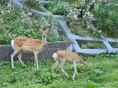 北門神社(北海道)