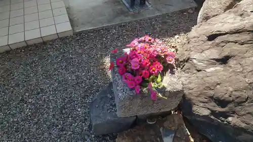 石刀神社の自然