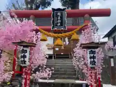 枋ノ木神社の鳥居