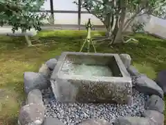 豊光寺の自然