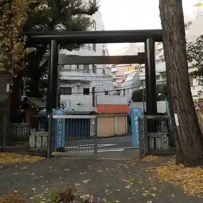 高円寺氷川神社の鳥居