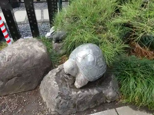 亀ケ池八幡宮の狛犬