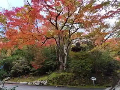 赤山禅院(京都府)