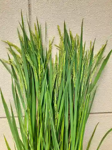伏木香取神社(茨城県)