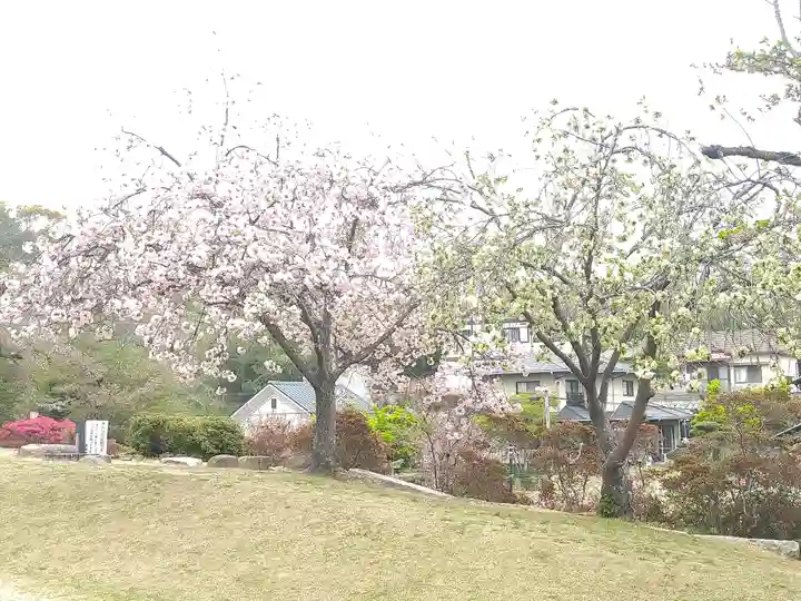 國鉾神社の自然