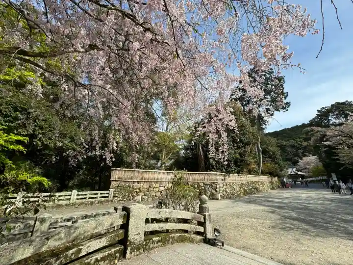 園城寺(三井寺)(滋賀県)