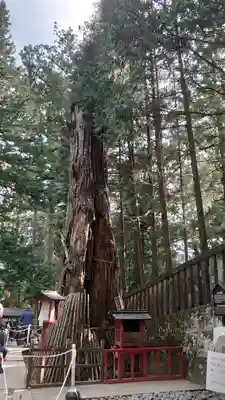 日光東照宮(栃木県)