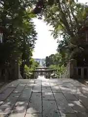宮地嶽神社の景色