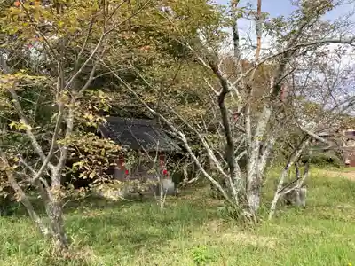 若年神社の自然