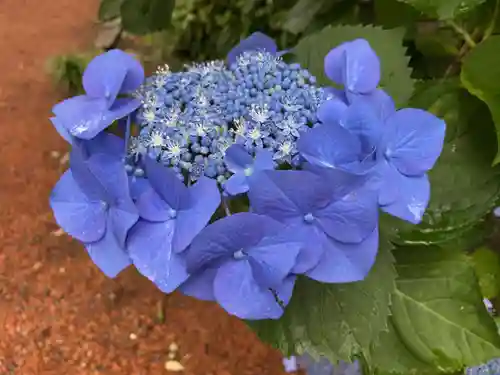二本松寺(茨城県)
