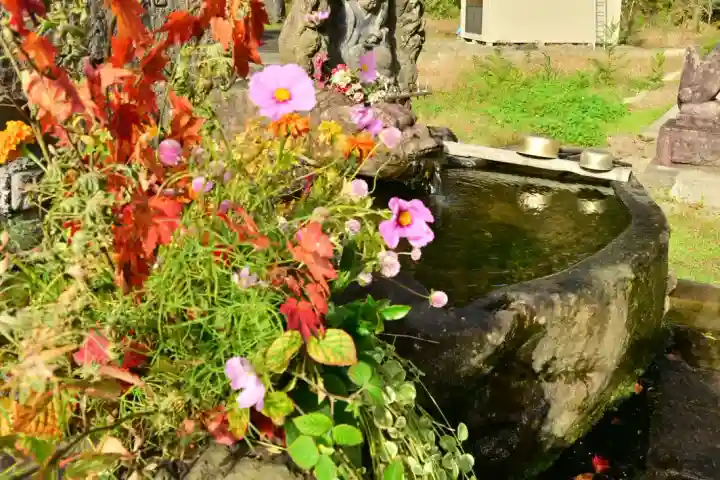 妙龍神社(新潟県)