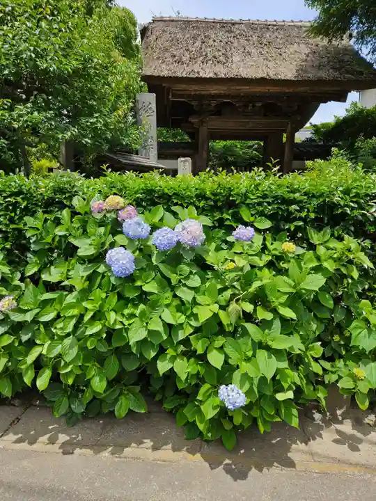 極楽寺(霊鷲山感應院極楽律寺)の庭園