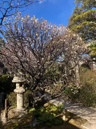観音蜜寺(神奈川県)