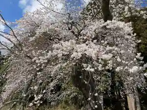 北野神社(福島県)(2025年04月14日(月) 13時06分28秒投稿)