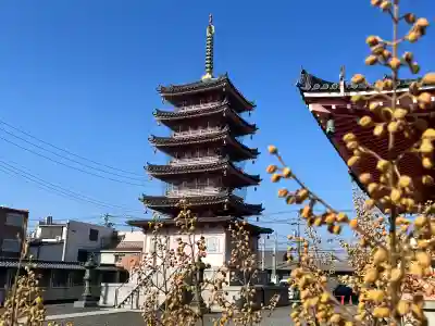 津観音の{uncategorized: "未分類", other: "その他", undefined: "問題あり", building: "その他建物", grave: "お墓", sacred_gate: "鳥居", guardian: "狛犬", statue: "像", buddha: "仏像", history: "歴史", nature: "自然", garden: "庭園", animal: "動物", pagoda: "塔", temizu: "手水舎", mountain_gate: "山門・神門", sanctuary: "本殿・本堂", subordinate: "末社・摂社", art: "芸術", scenery: "景色", jizo: "地蔵", ema: "絵馬", goshuin: "御朱印", omikuji: "おみくじ", items: "授与品その他", amulet: "お守り", goshuincho: "御朱印帳", eats: "食事", festival: "お祭り", votive_dance: "神楽", shichigosan: "七五三参", wedding: "結婚式", experience: "体験その他", initially: "初詣", around: "周辺", anti_infection: "感染症対策"}