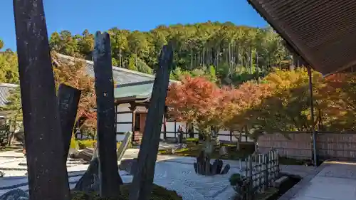 圓光寺(京都府)