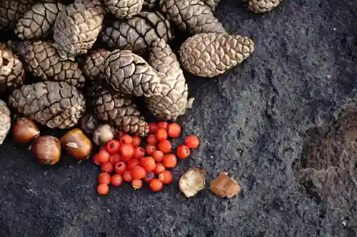 成田山大照寺(北海道)