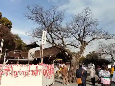 尾張大國霊神社（国府宮）のその他建物
