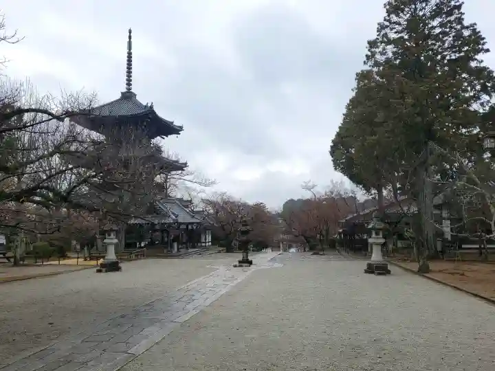 真正極楽寺(真如堂)の{uncategorized: "未分類", other: "その他", undefined: "問題あり", building: "その他建物", grave: "お墓", sacred_gate: "鳥居", guardian: "狛犬", statue: "像", buddha: "仏像", history: "歴史", nature: "自然", garden: "庭園", animal: "動物", pagoda: "塔", temizu: "手水舎", mountain_gate: "山門・神門", sanctuary: "本殿・本堂", subordinate: "末社・摂社", art: "芸術", scenery: "景色", jizo: "地蔵", ema: "絵馬", goshuin: "御朱印", omikuji: "おみくじ", items: "授与品その他", amulet: "お守り", goshuincho: "御朱印帳", eats: "食事", festival: "お祭り", votive_dance: "神楽", shichigosan: "七五三参", wedding: "結婚式", experience: "体験その他", initially: "初詣", around: "周辺", anti_infection: "感染症対策"}