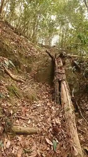  大岩山 最勝寺の自然