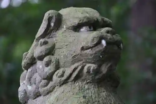 豊景神社の狛犬