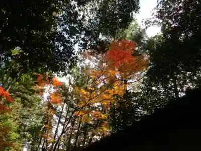 円成寺(奈良県)