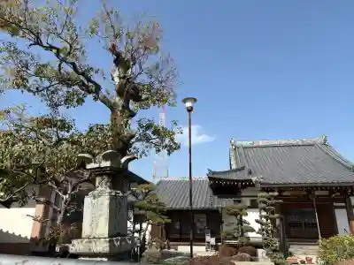 寿宝寺の{uncategorized: "未分類", other: "その他", undefined: "問題あり", building: "その他建物", grave: "お墓", sacred_gate: "鳥居", guardian: "狛犬", statue: "像", buddha: "仏像", history: "歴史", nature: "自然", garden: "庭園", animal: "動物", pagoda: "塔", temizu: "手水舎", mountain_gate: "山門・神門", sanctuary: "本殿・本堂", subordinate: "末社・摂社", art: "芸術", scenery: "景色", jizo: "地蔵", ema: "絵馬", goshuin: "御朱印", omikuji: "おみくじ", items: "授与品その他", amulet: "お守り", goshuincho: "御朱印帳", eats: "食事", festival: "お祭り", votive_dance: "神楽", shichigosan: "七五三参", wedding: "結婚式", experience: "体験その他", initially: "初詣", around: "周辺", anti_infection: "感染症対策"}