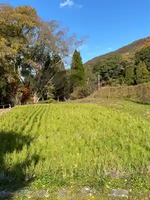 出雲大神宮(京都府)