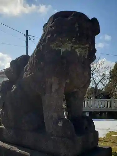 須田神社の狛犬