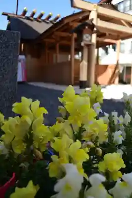 【閉業】小石川大神宮(東京都)